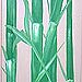 Bamboo Door